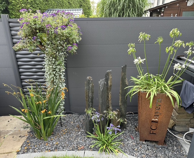 2d8b9782-5363-493b-8a9c-91e4d3b3658e