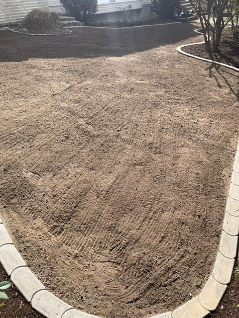 bbf0e5f0-5288-45c9-b55a-6b07f4801e24