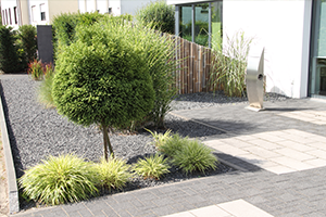 Garten neu gestalten: Inspiration & Trends 2026
